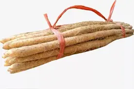 令人惊叹不已的高营养食物：牛蒡图片