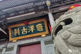 莆田：龟山寺赏樱花，那几只神龟在春天里等着你图片