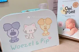 马蕴雯在荷兰生孩子图片