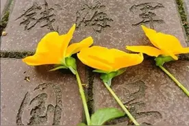 “刑警803”副总队长钱海军突发疾病因公牺牲，“724”是常用工作模式图片