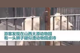 动物园，就是把动物关起来供人娱乐吗？图片