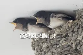 当看到爸妈出门回来，但啥都没给你带时…图片