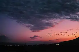 生活不是等待风暴过去，而是要学会在雨中跳舞。图片
