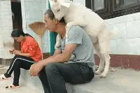 搞笑GIF：真是太辣了，我都有点受不了了图片