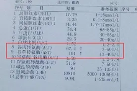 转氨酶超出正常范围，就是肝损伤吗？图片