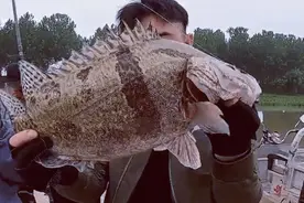 鳜鱼怎么钓？3大钓点，4大钓法，1点要特别注意图片