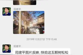 五棵树松了绑！武安纪委监委这个群，发挥监督真管用！图片