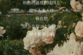 后来，喝点酒就能解决的事，就不会再麻烦眼泪了图片