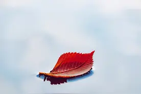 张欣：缺失已久的责任心图片