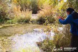 达坂城东沟乡有处“童话仙境”图片