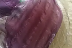 炎热的夏天一份简单的荤菜炖粉皮，是好吃的图片