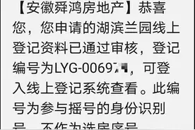 合肥4个千人摇号楼盘出炉，打新如何中签率更高？图片