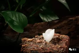 爱珠宝还是爱玉石？图片