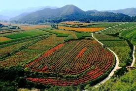 一路向北，延庆最美，游四季花海，逛百里画廊图片