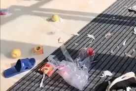 狗狗“喜”拆家，主人的举动引发热议，如何“拨乱反正”图片