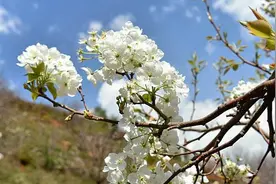 错的时间遇见对的你，从此，脑海、心间、陌上、回忆，全都是你图片