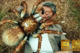 比《逐梦演艺圈》还难看，中国版金刚大战巨蛇，能看完的都是高手图片