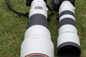 索尼600/4和200-600镜头8倍价差到底强在哪里图片