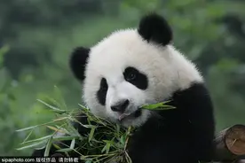 这里好玩得超出想象！北京最适合周末全家去玩的地方，看点实在太多了，快来！图片