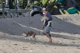 莱昂纳多海边遛狗，李叔和两条哈士奇狗子出门，一直抱着那只小的图片