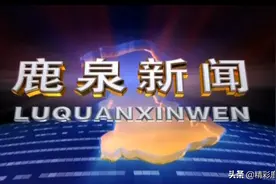 【鹿泉新闻】2021.07.31图片