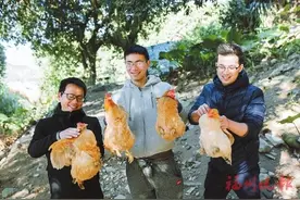 上山当起“鸡大王”，下海成了“鸭司令”，于国胤：投笔从农的“乡村合伙人”图片