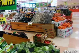 十年弹指一挥间：华人青年直面311地震图片