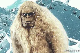 “雪人”的踪迹图片