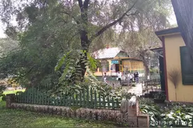 「美丽的太阳岛12」中东铁路高级官员别墅区旧址图片
