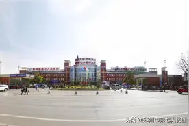 郑州9岁妞妞体检心脏有杂音，历经3小时瓣膜成形术，最终恢复健康心跳图片