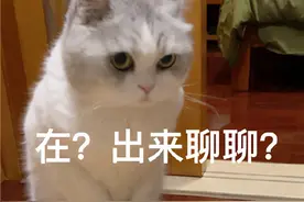 表情包：在？出来聊聊？图片