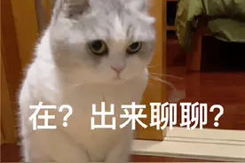 表情包：在？出来聊聊？图片