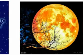 闲谈《老子》和《易》的认识图片
