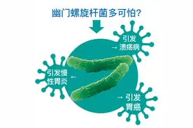 关于“国民疾病”幽门螺旋杆菌感染的浅谈图片