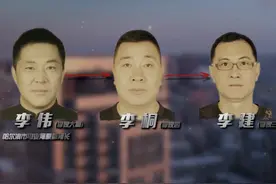 李氏三兄弟的消亡史：拥有豪车96辆，房产69套，存款近10亿图片