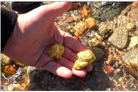 地球上黄金总量是多少？如果平均分配，我们每个人能拿多少？图片