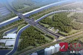 全国政协委员、济南市副市长王桂英：建议在济南筹建“国字号”中医大学图片