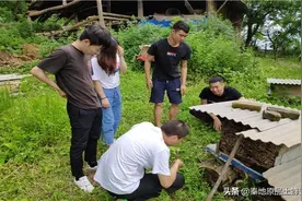 立秋后就可以进行秋繁了？影响秋繁效果的三大因素，养蜂人别忽略图片