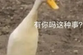你和爱情只差一个蓝牙耳机，啊啊啊，太甜了图片