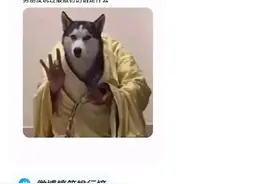 爆笑合集：男朋友说过最敷衍的话是什么？看完神评我笑了图片