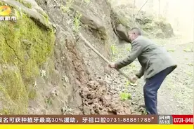“吕愚公”赤手移山，靠一把锄头硬生生的挖出400多米“幸福路”视频封面