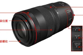 12280元的RF100mm你觉得贵吗？微距镜头能拍什么？图片