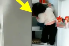 两岁女宝钻冰箱偷喝酸奶，姿势让妈妈乐了：高手！拍给未来女婿看图片