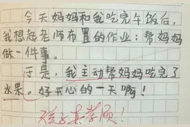 二胎幼崽记仇本曝光，每页写着“我忍了”，详细记录姐姐“罪状”图片