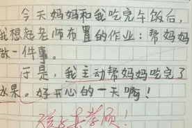 二胎幼崽记仇本曝光，每页写着“我忍了”，详细记录姐姐“罪状”图片