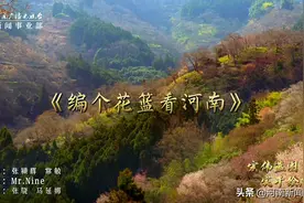 Rap：编个花篮看河南图片