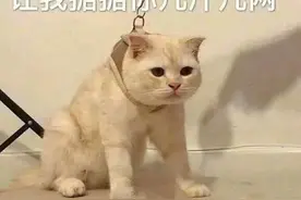 医学生有什么搞笑沙雕日常？图片