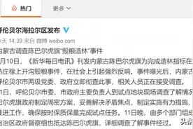 20000多亩庄稼被人为铲毁，一个农民发自内心的悲伤图片