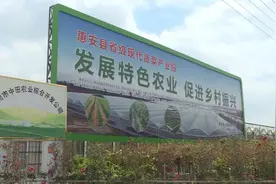 惠安这个地方入选中小学研学实验教育基地，快带孩子去体验图片