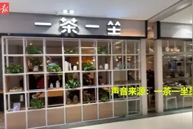 知名连锁餐厅“一茶一坐”大面积关店，石家庄店情况如何？图片